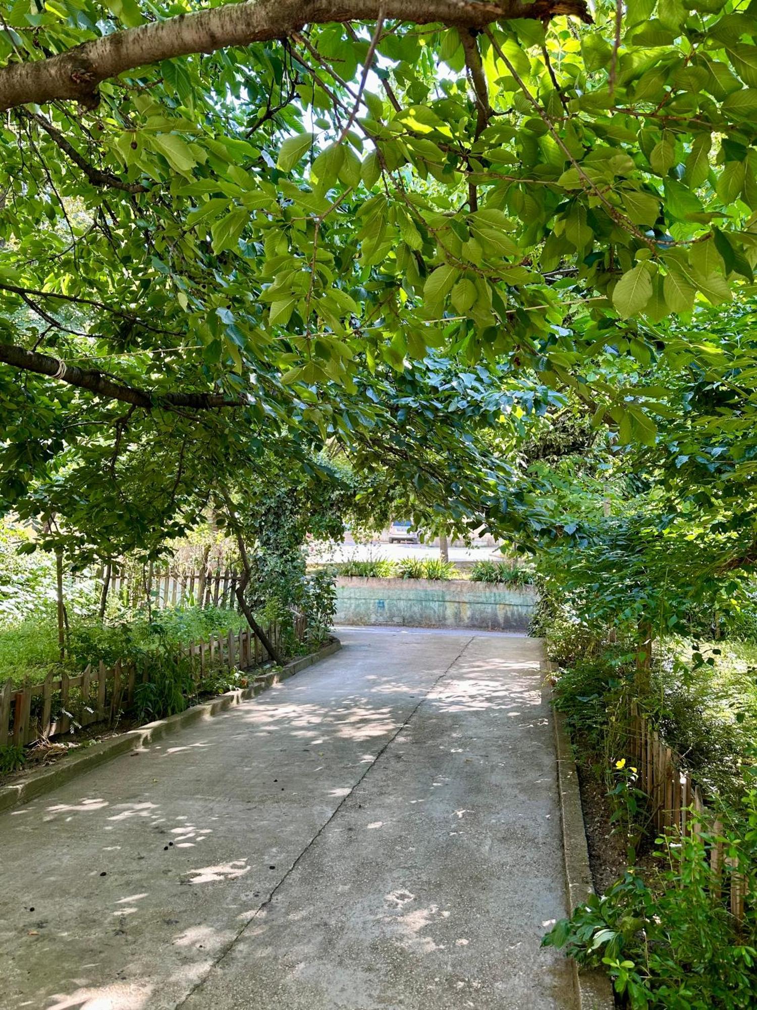 Jea House Apartment Pogradec Bagian luar foto
